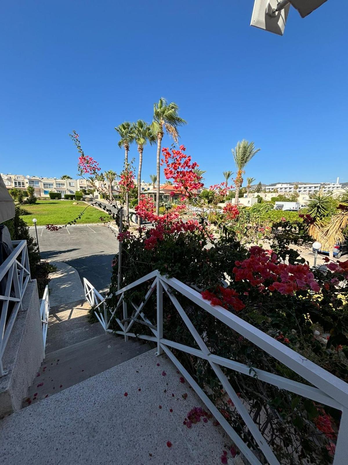 Horizon Bliss At Coral Bay Pegeia Exterior foto